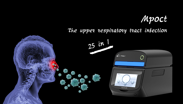 Understanding Respiratory Diseases: Causes, Symptoms, Diagnostics and Prevention