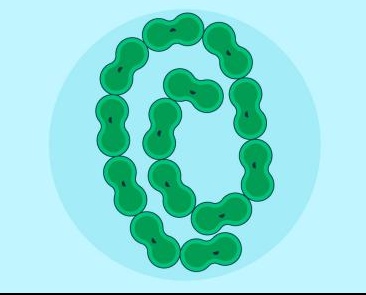 How to Use the Hysen Strep A Rapid Test Device.png