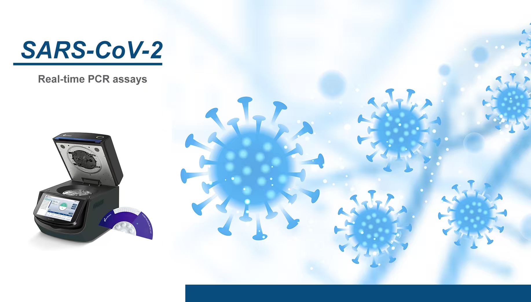 Real-time PCR assays for the detection of SARS-CoV-2