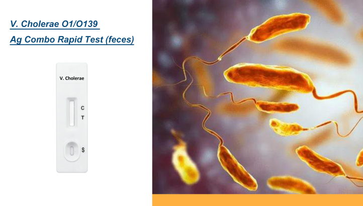 cholera rapid test.png