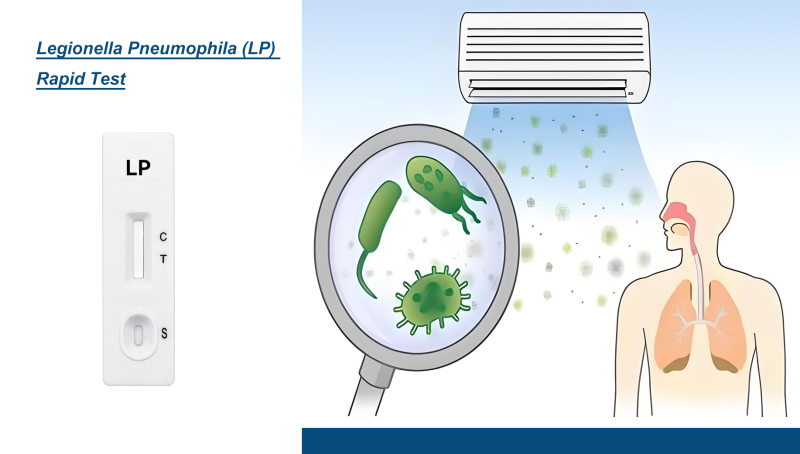 Legionella Pneumophila (LP) Rapid Test Solution-Direct from Factory Wholesale Prices. OEM Welcome.