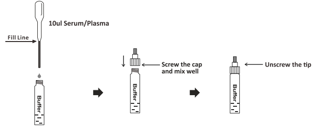 RF Rapid Test Kit-1.png